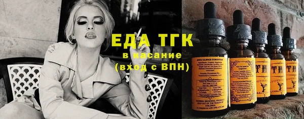 шишки Бородино